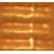 Y24